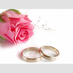 Для свадьбы и выпускного 2 (со светом и услугами DJ)