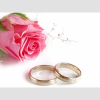 Для свадьбы и выпускного 2 (со светом и услугами DJ)